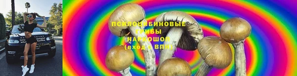 стаф Ельня